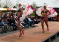 EvenaarFestival 100529-247