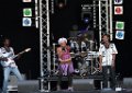 AfriqueCaribFestival 100627-135