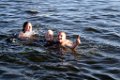 LaMere 100704-462
