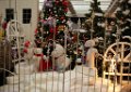 KerstClip 101208-103