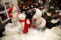 KerstClip 101208-104