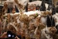 KerstClip 101208-106