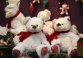 KerstClip 101208-120