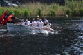 Havenslag 140517-129
