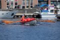 Havenslag 140517-169